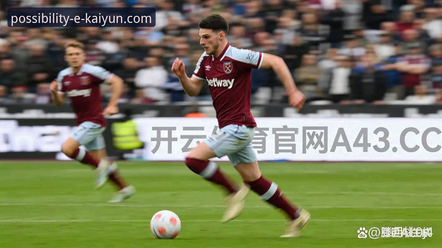 开云体育平台最新动态：v2.1.3版本深度评测与安全下载指南